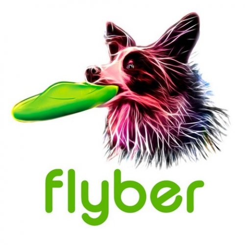 flyber-letajici-disk-pro-psy-45771-500x500